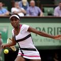 venus williams