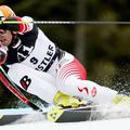 Zmagovalec veleslaloma v Whistlerju Hannes Reichelt.