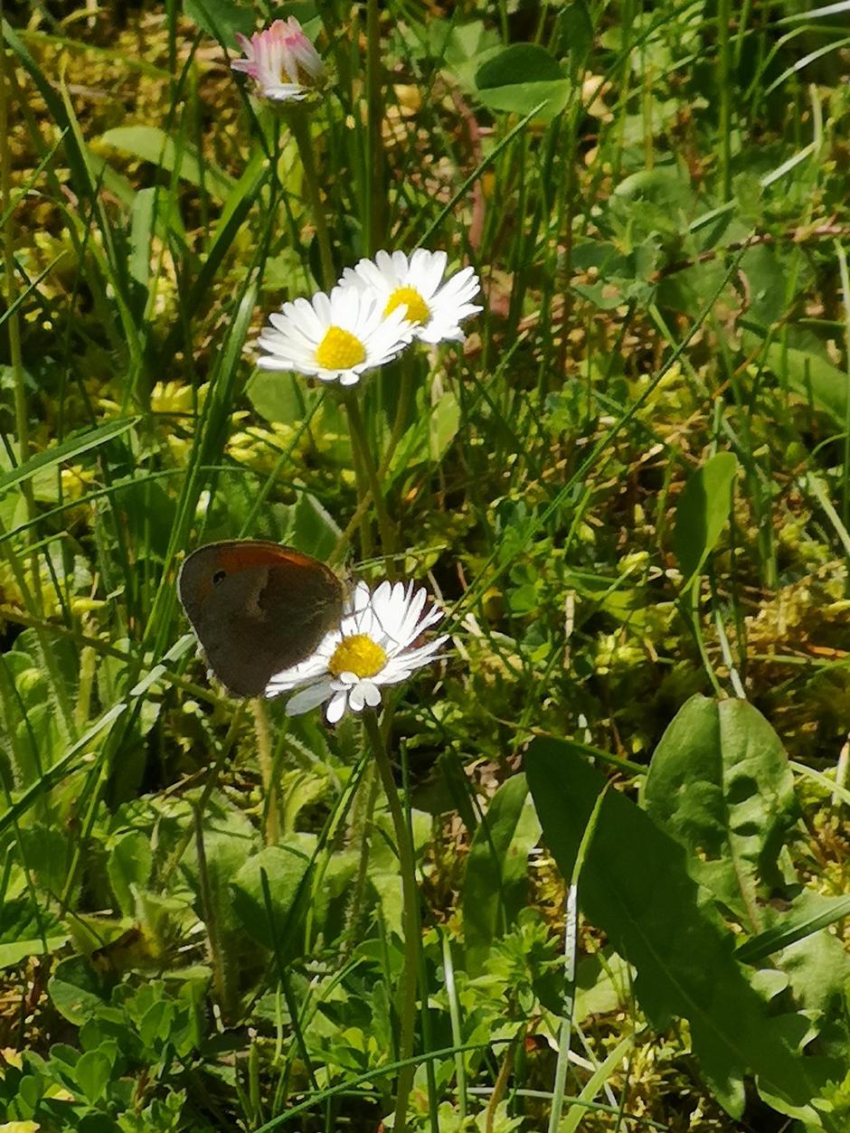  | Avtor: Matej Košir