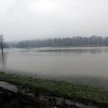 Sava je včeraj popoldne poplavljala tudi na območju Litije. (Foto: Benjamin Kova