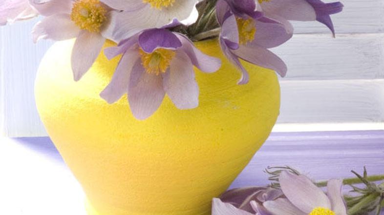 Rože nam skrb vračajo z lepoto. (Foto: Shutterstock)