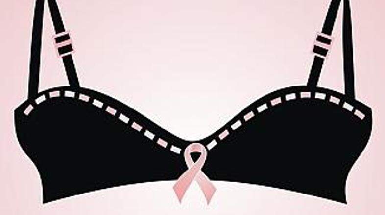 V modrčku je netopirček na toplem ždel kar nekaj časa.