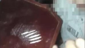 Posnetek podmladka SDS