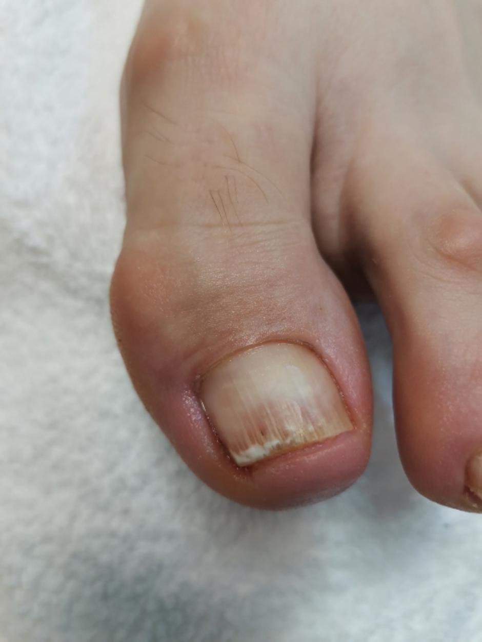 Annika | Avtor: Annika.si