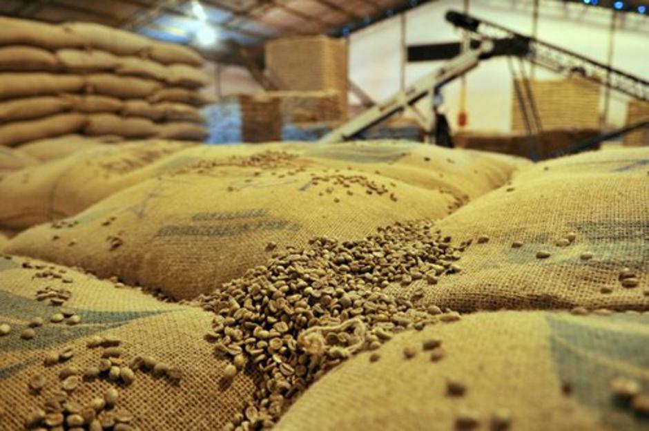 Kava | Avtor: Profimedias