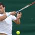 Žemlja Dimitrov Wimbledon grand slam OP Velika Britanija