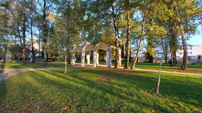 Breza, drevesa, Prešernov gaj, Kranj