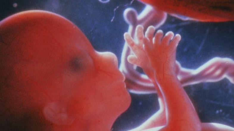 Do danes so bili primeri, ko sta imela otrok in mati isto vrsto rakavega obolenj