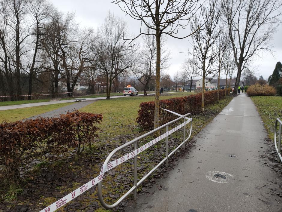 Ptičja gripa na Koseškem bajerju | Avtor: Žurnal24 