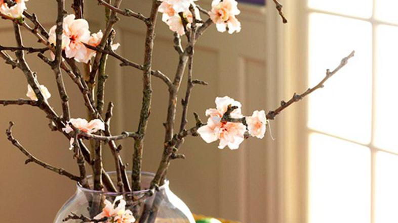 Nežni češnjevi cvetovi