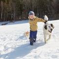 Pes in otrok na snegu
