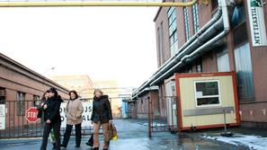 Več delavk naj bi se že pritožilo zaradi pikov bolh. Neuradno smo izvedeli, da s