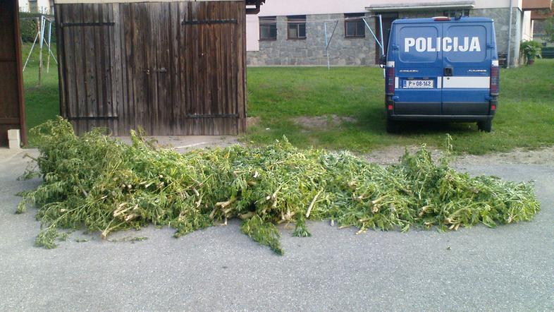 V treh od omenjenih primerov so ugotovili, da so imeli osumljenci v laboratoriji