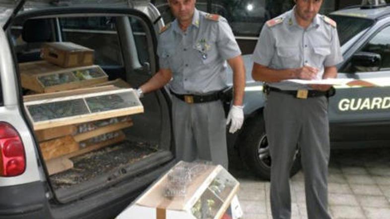 Policisti so 'živalski vrt' odkrili po naključju.