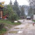 Romsko naselje Žabjak bo urejala občina, pri tem pa naj bi ji pomagala država. (
