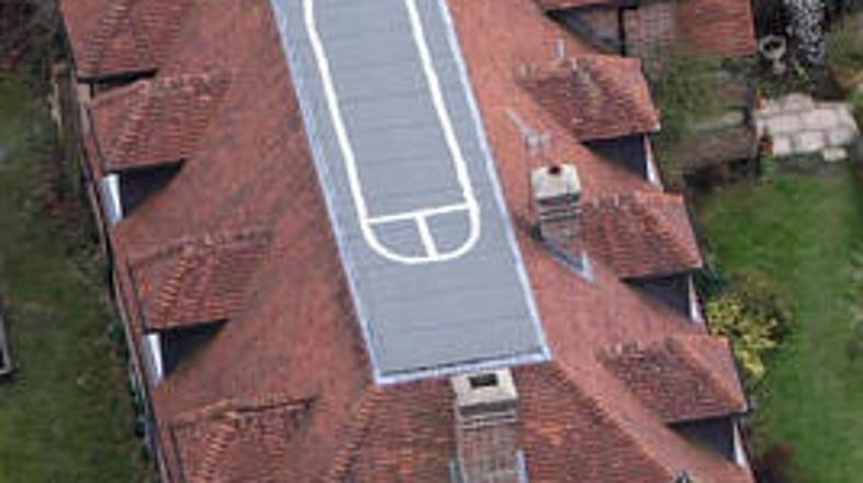 Roryja McInnesa menda čaka čiščenje njegove umetnine.