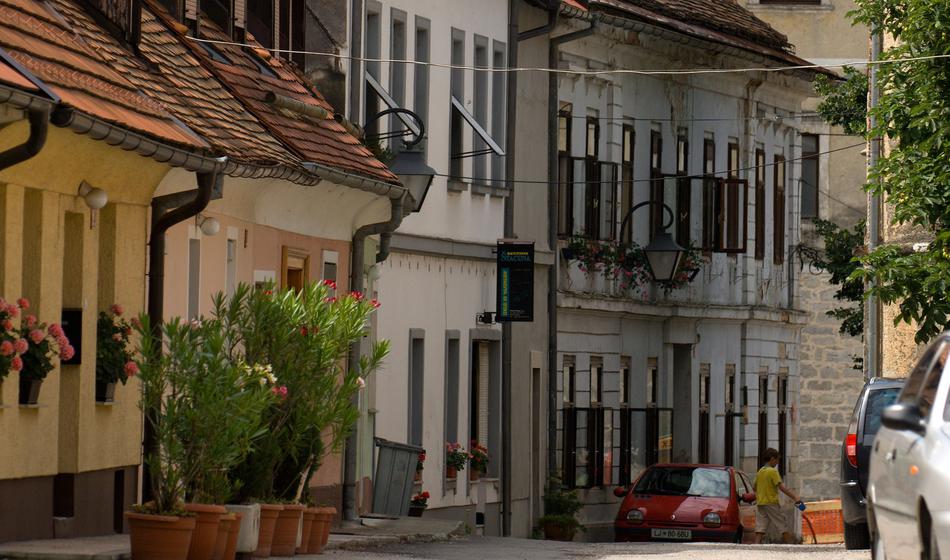 "Samo še ena bedarija, pa bodo gorele vse bosanske hiše v Brežicah!"