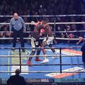 Anthony Joshua Carlos Takam