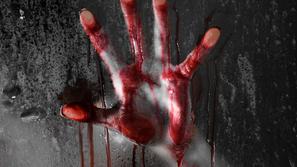 Krvava roka