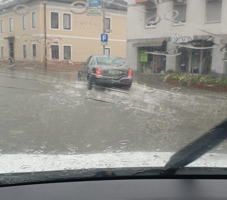 Neurje na Kočevskem