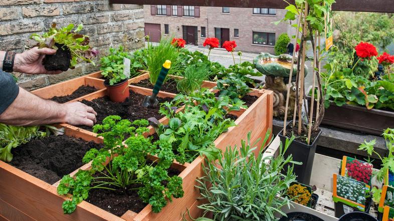 Vrtičkanje na balkonu