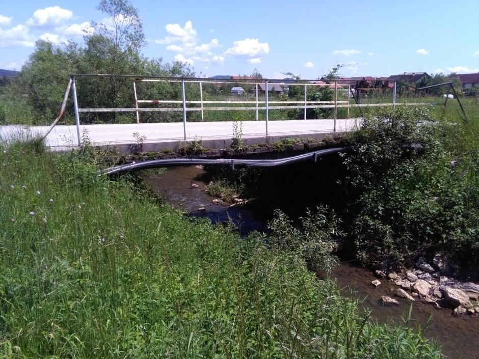 Most, Rakova jelša | Avtor: zurnal24.si