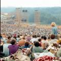 woodstock, množica ljudi