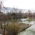 poplave Kostanjevica