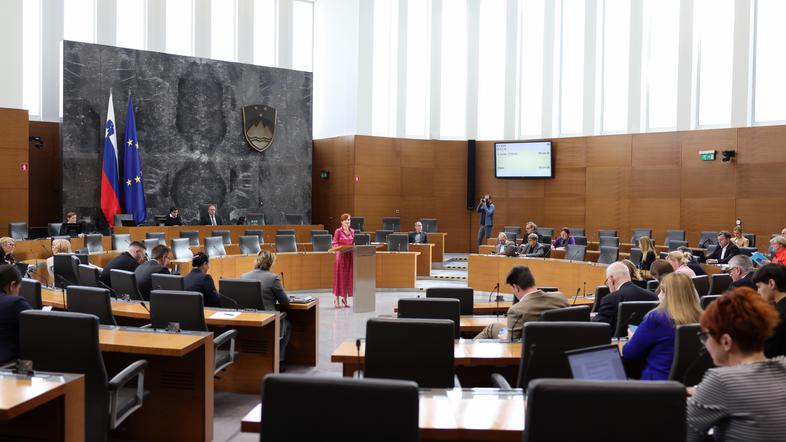 državni zbor izredna seja