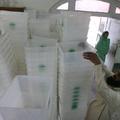 Pakistanci se pripravljajo na parlamentarne volitve.