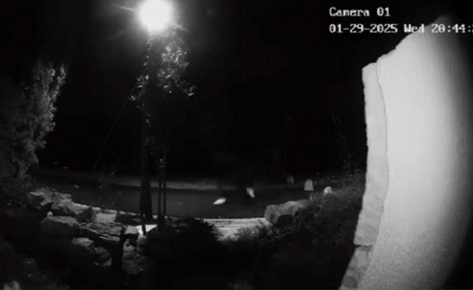 Posnetek nadzorne kamere napada v Zadru | Avtor: Vecernji.hr