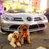 Psa in avtomobili