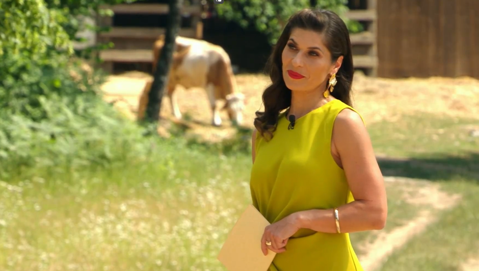 kmetija, natalija bratkovič | Avtor: Voyo