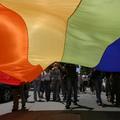 Homoseksualni pari v Urugvaju si bodo lahko kot prvi v Južni Ameriki ustvarili d