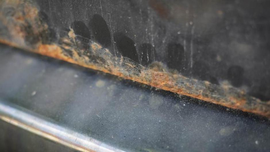 Rja na avtomobilih | Avtor: Saša Despot