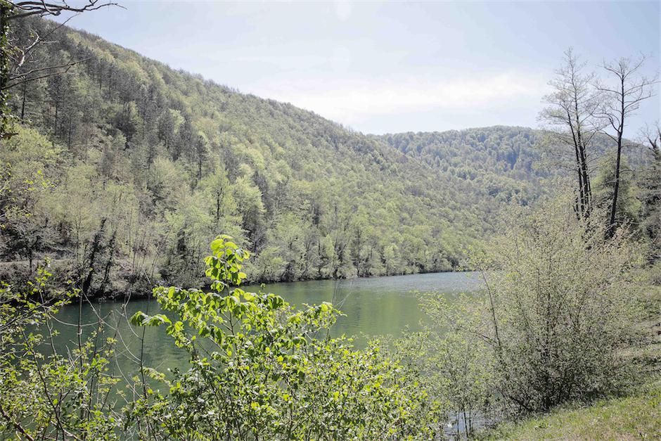 reka Kolpa | Avtor: Saša Despot