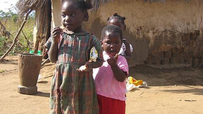 DomaÄini v Nangomi, Zambija