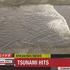 Potres in cunami na Japonskem
