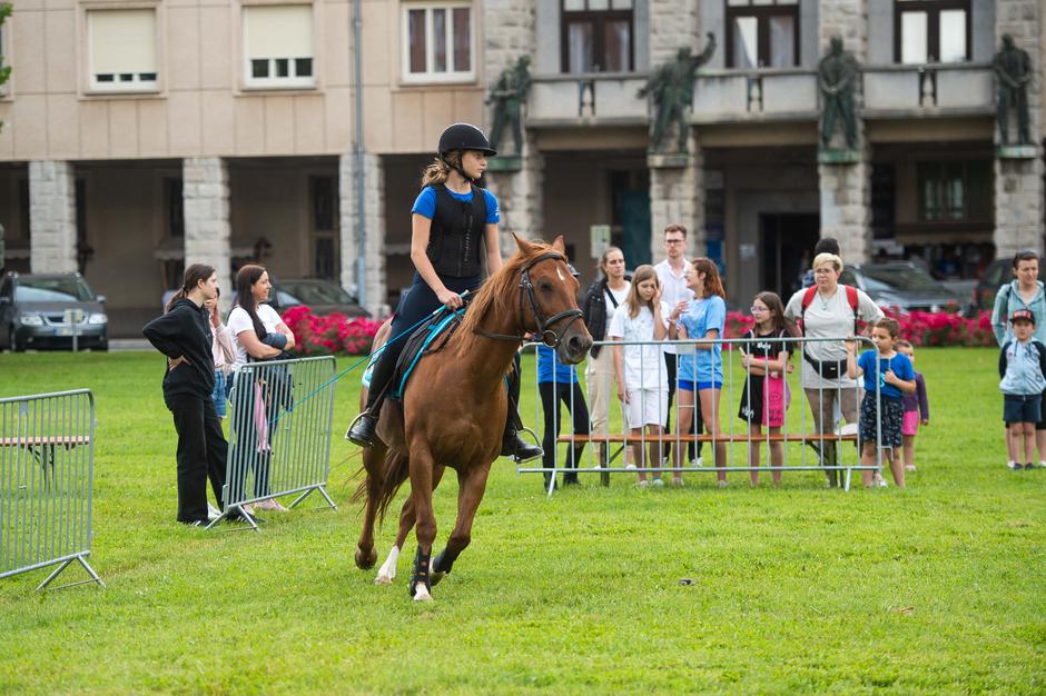 Festival za ljubitelje živali 2023 | Avtor: Anže Petkovšek