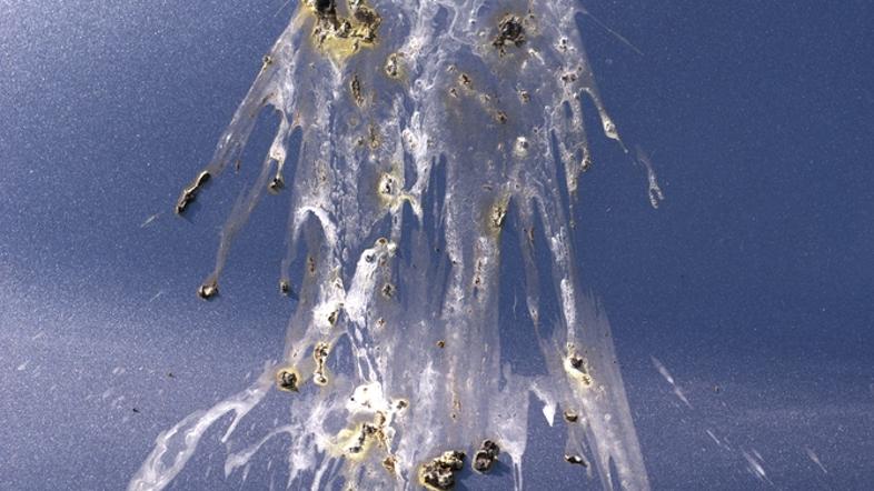 Ptičji iztrebek na avtomobilu