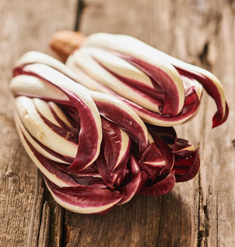 radič | Avtor: Profimedia