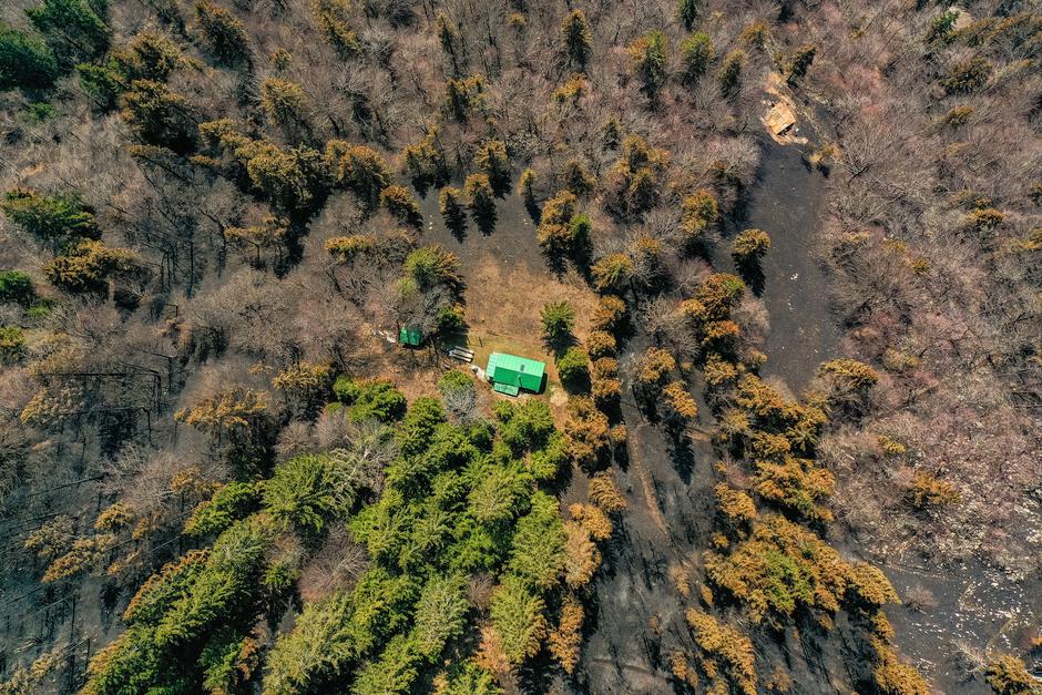 Potoška gora, gozd, občina Preddvor | Avtor: Primož Šenk