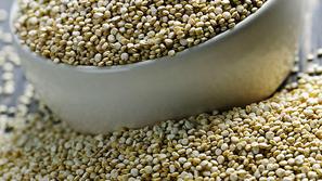 Kvinoja med drugim vsebuje lizin, ki ga je največ v ribah. Je popoln vir beljako