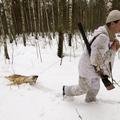 Švedski lovci v akciji. Letos lahko ubijejo le še tri živali. (Foto: Reuters)