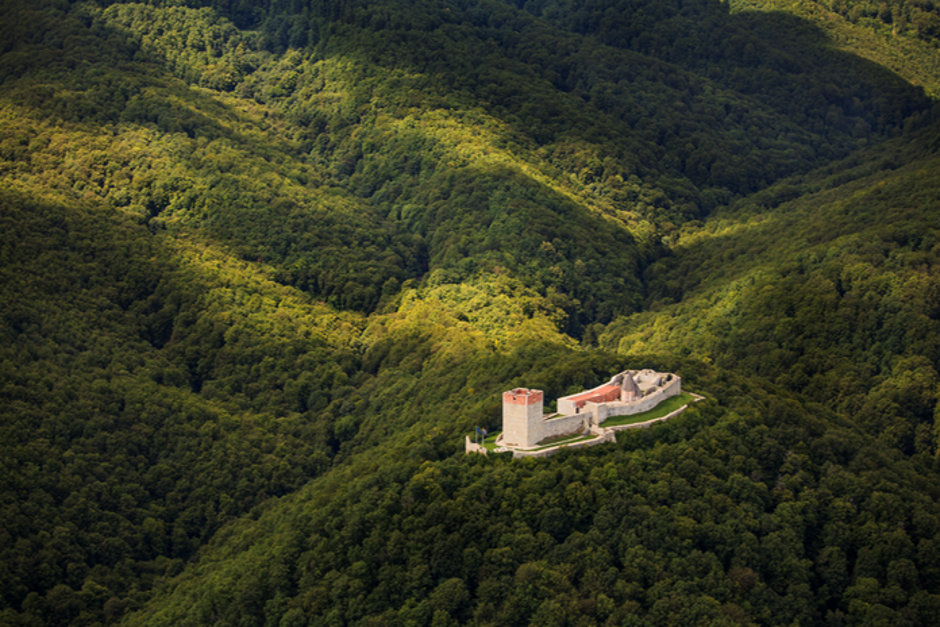 Naravni park Medvednica | Avtor: Zoran Jelaca