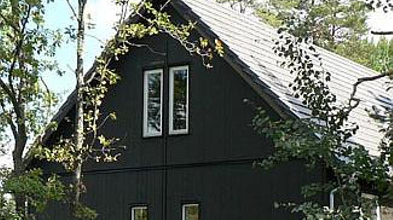 Ikea še vedno stavi na les!