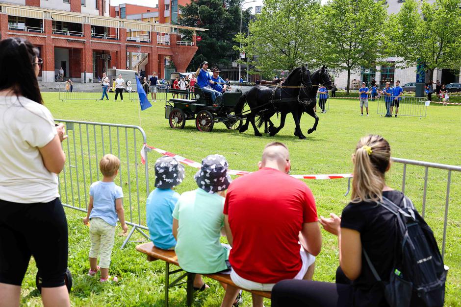 Festival za ljubitelje živali 2023 | Avtor: Saša Despot