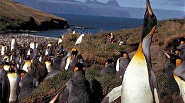 Antarktika je eden od tistih delov Zemlje, kjer so posledice podnebnih sprememb 