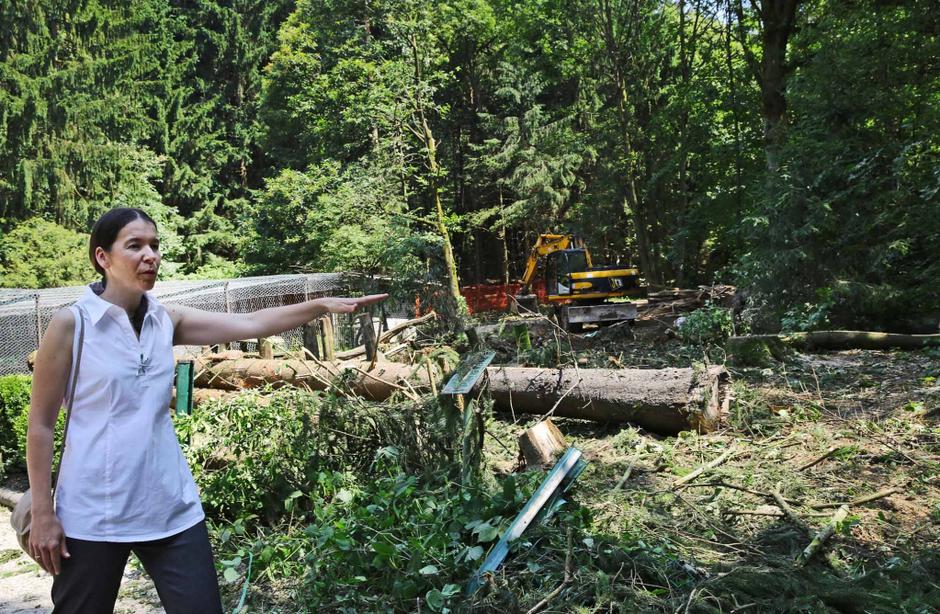 Ljubljana 02.07.2013 Barbara Mihelic, novinarska konferenca ZOO Ljubljana in MO  | Avtor: Saša Despot