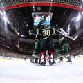 Minnesota Wild